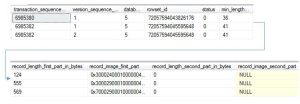 sys.dm_tran_version_store -Day 52 - One DMV a Day